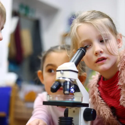 Mädchen der Montessori Grundschule schaut durch ein Mikroskop