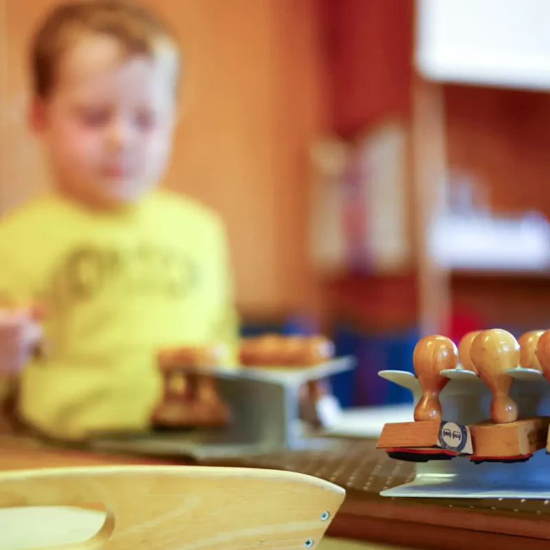 Kind sortiert Holztierfiguren und arbeitet an einer Montessori-Übung zur Klassifikation.