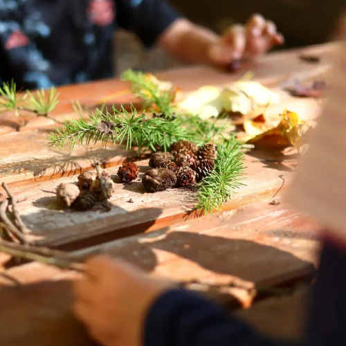 Naturmaterialien für Grundschulkinder