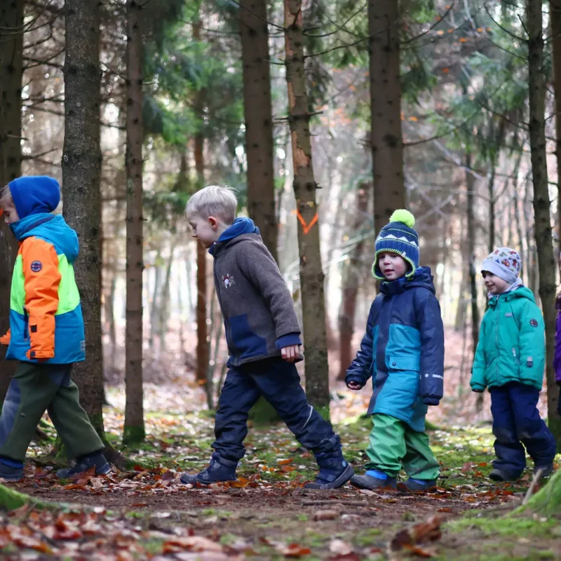 Gruppe von Kindern läuft im Wald eine kleine Anhöhe entlang.