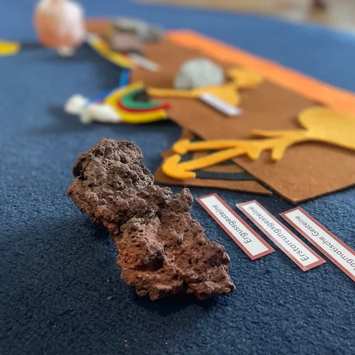 Naturmaterialien wie Rinde, Steine und Stöckchen liegen für ein Sachkundeprojekt bereit.